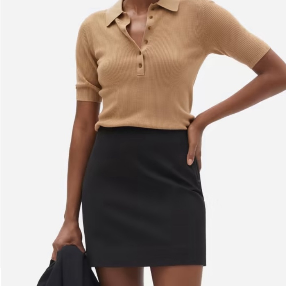 Everlane Mini Skirt